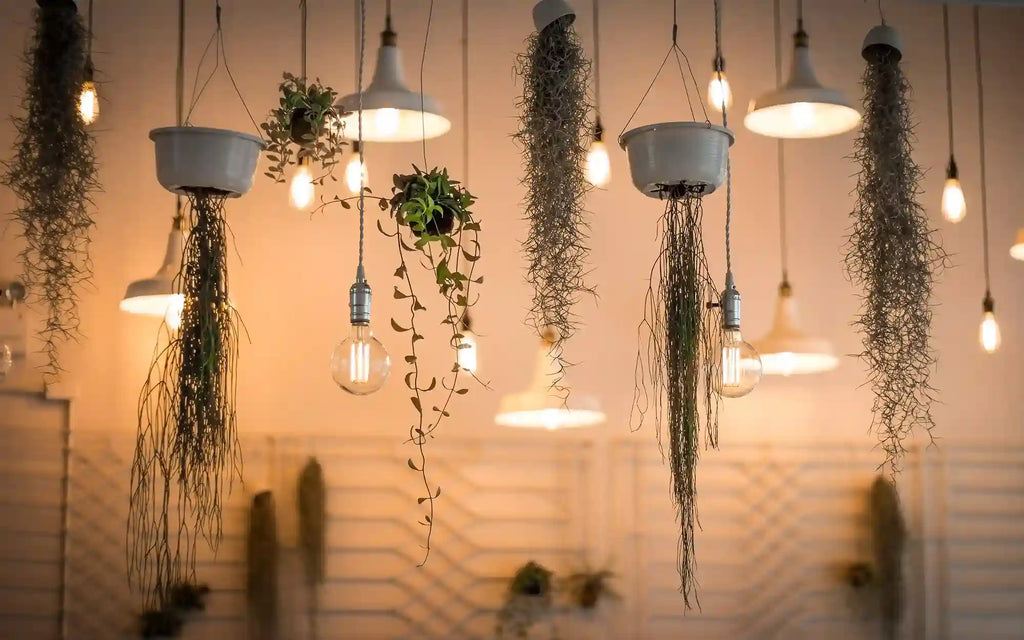 How To Sell LED Lamps Online: Everything You Need To Know To Succeed