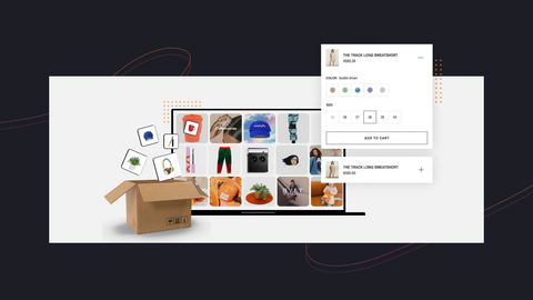 start dropshipping business with no money