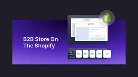 B2B store on the Shopify