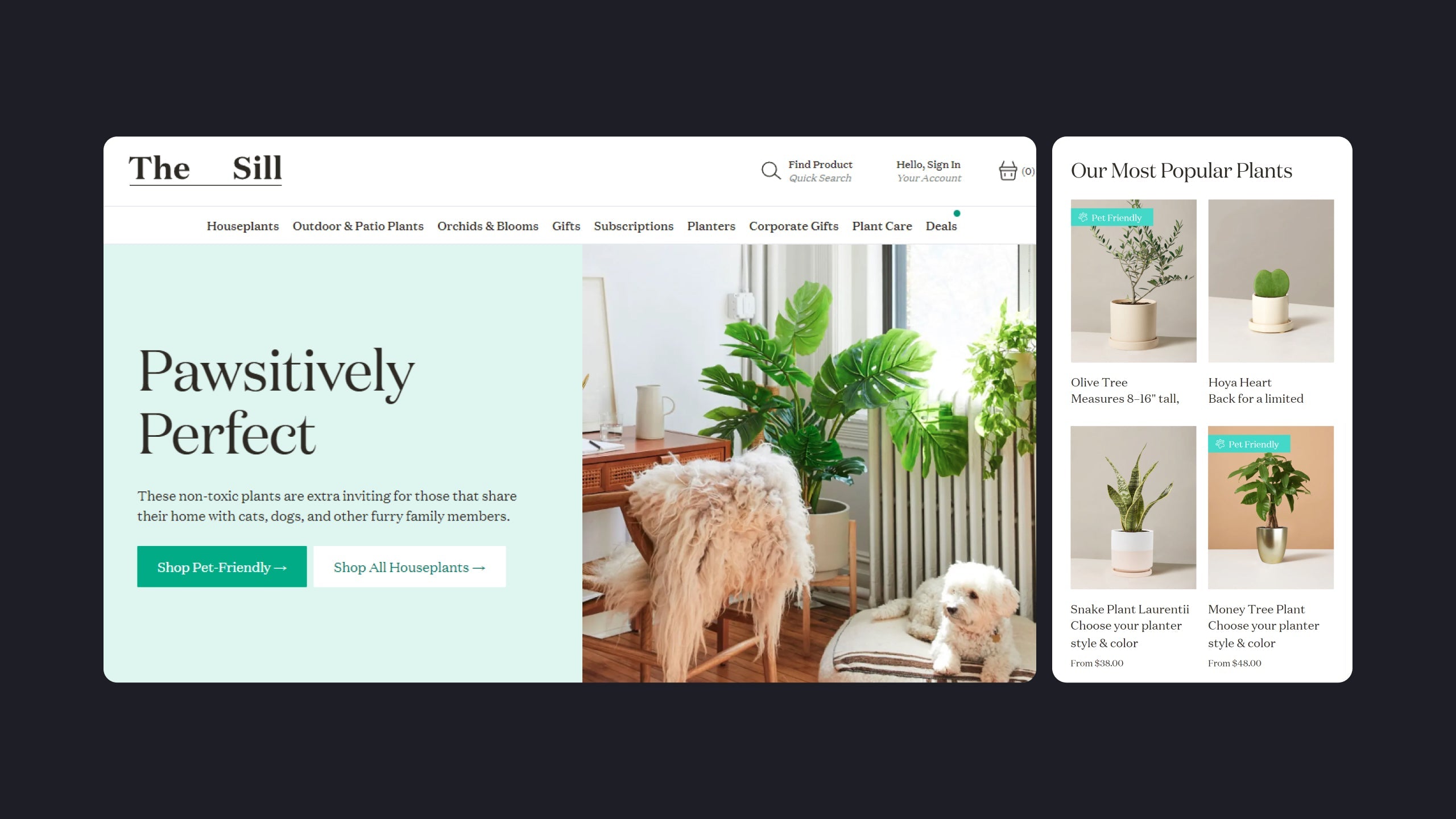selling house plants online How To Start Your Online Plant Business (+ Examples) – GemPages