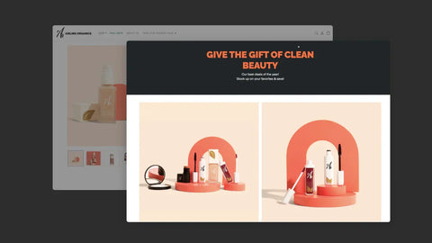 Shopify landing page examples